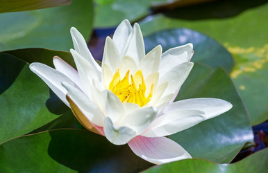 Similar image 1928678