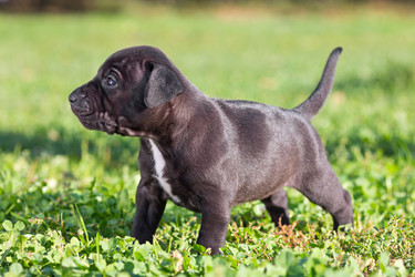 Similar image 1929591