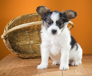 Similar image 1929596