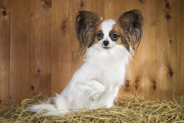 Similar image 1929600