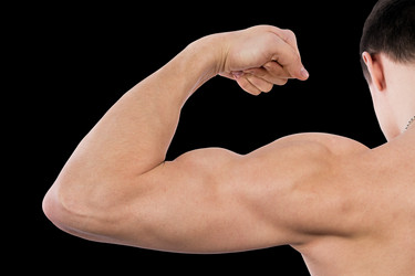 Similar image 1929603