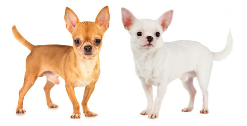 Similar image 1929605