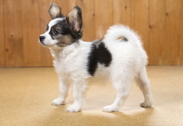 Similar image 1929642