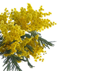 Similar image 1940051