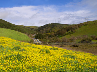 Similar image 1940052