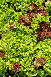 Similar image 1940458