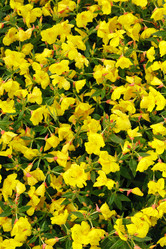 Similar image 1940488