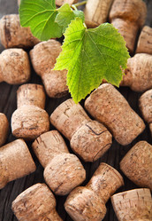 Similar image 1940550