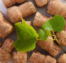 Similar image 1940554