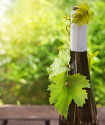 Similar image 1940560