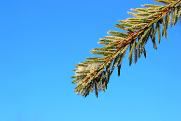 Similar image 1940875