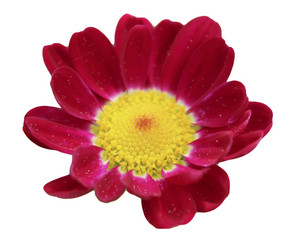 Similar image 1940880