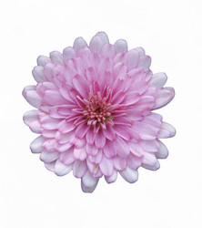 Similar image 1940881