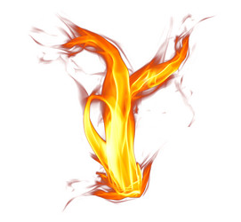 Similar image 1940920