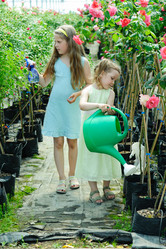 Similar image 1941410