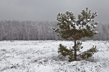 Similar image 1941431