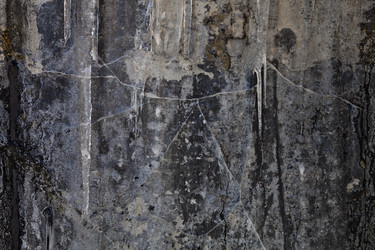 Similar image 1941444