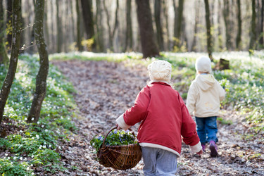 Similar image 1941571