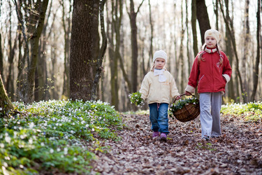 Similar image 1941573