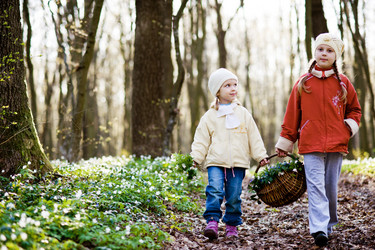 Similar image 1941574