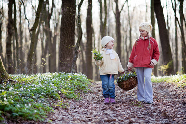 Similar image 1941575