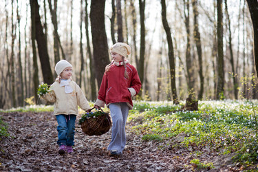 Similar image 1941577