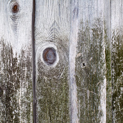 Similar image 1941706