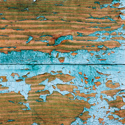 Similar image 1941709