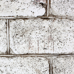 Similar image 1941713