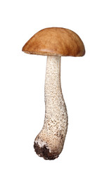 Similar image 1941824