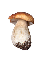 Similar image 1941826