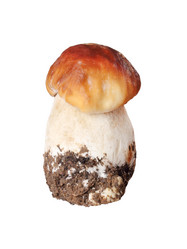 Similar image 1941827