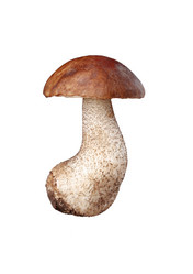 Similar image 1941830