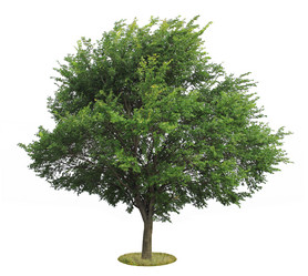 Similar image 1941844