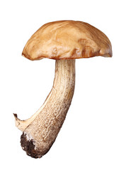 Similar image 1941847