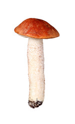 Similar image 1941908