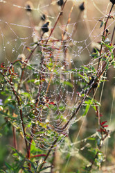 Similar image 1941931