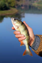 Similar image 1941935