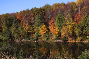 Similar image 1942016