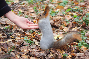 Similar image 1942028