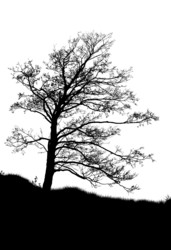 Similar image 1942082