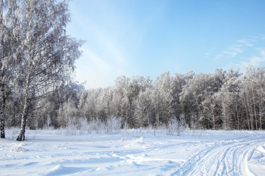 Similar image 1942160