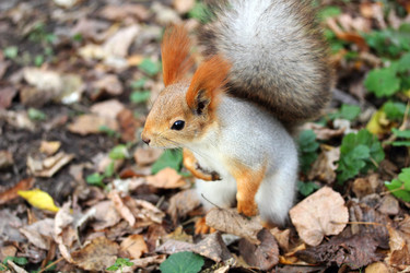 Similar image 1942177