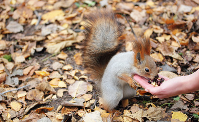 Similar image 1942178