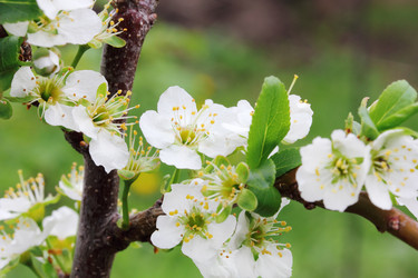 Similar image 1942257