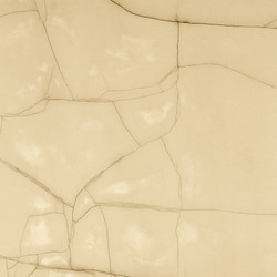 Similar image 1942272