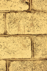 Similar image 1942274