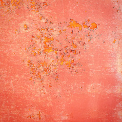 Similar image 1942293