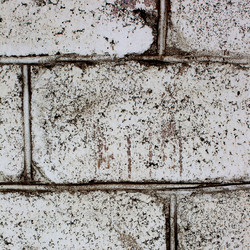 Similar image 1942358