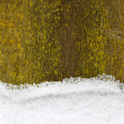 Similar image 1942359